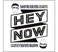 Martin Solveig & The Cataracs feat. Kyle - Hey Now (2-Track)