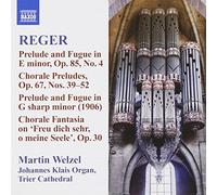 Martin Welzel - Reger: Organ Works Volume.10