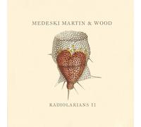 Medeski Martin & Wood - Radiolarians 2 (Dig)