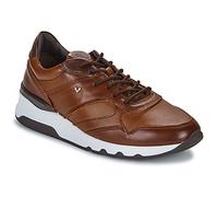 Martinelli Shoes (Trainers) NEWPORT in Brown 7.5