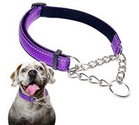 Martingale Collar for Dogs, Nylon Dog Chain Collars Adjustable For Heavy Duty Reflective Martingale Collar for Training Medium Large Big Dogs
