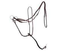 Martingale for horse BR Equitation Market Harborough Lancaster