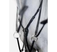 Martingale for horse PS of Sweden Seoul
