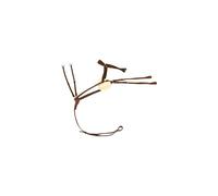 Martingale for horses 5 points HorseGuard