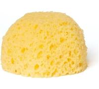 martini SPA - My Pet Spa - Extra Soft Medium Polyurethane Sponge for Pet Grooming, Beige, 1 Unit - Made in Italy