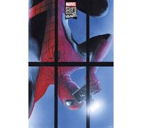Marvel 80 Years Spiderman Poster 61x91.5 cm | 24x36 inch NEW red large