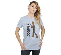 Marvel Avengers Infinity War Graffiti Groot Cotton Boyfriend T-Shirt In Grey Grey XXL