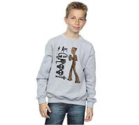 Marvel Boys Avengers Infinity War I Am Teenage Groot Sweatshirt Sport Grey 12-13 years