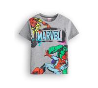 Marvel Boy's Comics Spiderman Hulk Short Sleeved T-Shirt | Boys Grey | Size: 6-7 Years Marvel Grey 6-7 Years