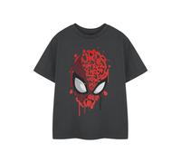 Marvel Boys Grey Friendly Neighbourhood Kids Short Sleeved T-Shirt - 5-6 Years