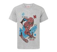 Marvel Boys Grey Spider-Man Short Sleeved T-Shirt - 13-14 Years