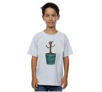 Marvel Boy's Guardians Of The Galaxy Groot Flower Pot T-Shirt in Grey | Size: 3-4 Years Marvel Grey 3-4 Years
