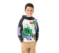 Marvel Boys Multicoloured Multi Character Hoodie - 2-3 Years