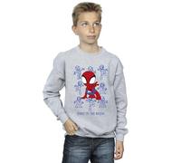 Marvel Boys Spider-Man Rescue Sweatshirt Sport Grey 3-4 Years