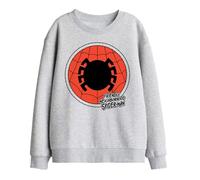 Marvel Friendly Neighborhood Spiderman Badge Kids Sweatshirt, Athletic Heather, 5-6