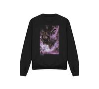 Marvel Ghost Rider Pain Sweatshirt, Black Black