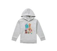Marvel Guardians Of The Galaxy In Full Bloom Youth Kids Pull-Over Hoodie, Athletic Heather in Grey | Size: 12-13 Years Marvel Grey 12-13 Years