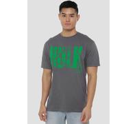 Marvel Hulk Text T-Shirt In Grey Grey