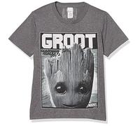 Marvel Kids' Groot Bolden T-Shirt, Charcoal Heather, L