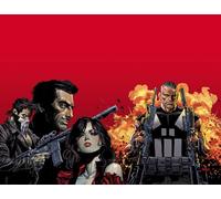 Marvel Knights: Punisher: 1