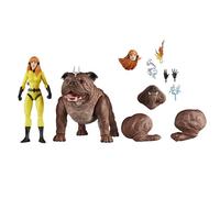 Marvel Legends Series Crystal and Lockjaw, Deluxe Comics Collectible 6-Inch Action Figures