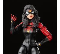 Marvel Legends Spiderman Action Figure (JD SpiderWoman)