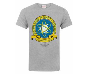 Marvel Men's Adult Short Sleeved T-Shirt (Grey) in Grey | Size: 2XL Marvel Grey 2XL