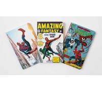 Marvel: Spider-Man Through the Ages Pocket Notebook Collection (Set of 3)