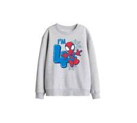 Marvel Spiderman Cute Spidey Birthday 4 Kids Sweat, Athletic Heather in Light Grey | Size: 9-11 Years Marvel Light Grey 9-11 Years