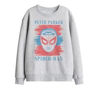 Marvel Spiderman Peter Parker Stripes Kids Sweatshirt, Athletic Heather, 5-6