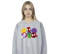 Marvel Spidey And His Amazing Friends Faces Sweatshirt In Grey Grey L
