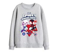 Marvel Spidey And His Amazing Friends Spidey Gwen Miles Group Kids Sweatshirt, Athletic Heather, 5-6