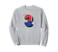 Marvel Super Heroes Spider-Man Numbers 3 Third 3rd Birthday Sweatshirt