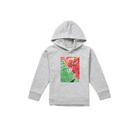 Marvel The Hulk Vs Red Hulk Youth Kids Pull-Over Hoodie, Athletic Heather in Grey | Size: 7-8 Years Marvel Grey 7-8 Years