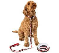 Marvel Unisex Black Logo Bowl , Collar , Charm and Lead Gift Set - Small