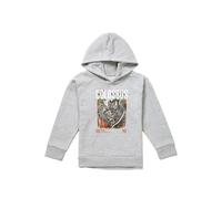 Marvel X-Men Colossus Info Youth Kids Pull-Over Hoodie, Athletic Heather in Grey | Size: 9-11 Years Marvel Grey 9-11 Years