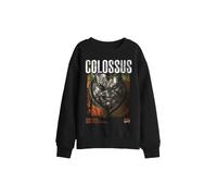 Marvel Xmen Colossus Info Kids Sweatshirt, Black | Size: 12-13 Years Marvel Black 12-13 Years