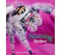 Marvellous Minibeasts!: Stunning Spiders