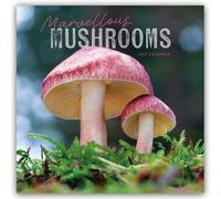 Marvellous Mushrooms Wall Calendar 2025 (PFP)