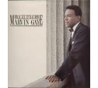 Marvin Gaye - A Tribute To Marvin Gaye