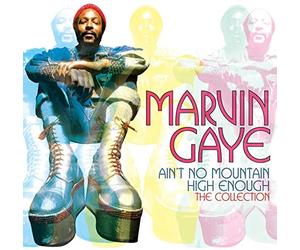 Marvin Gaye - Ain't No Mountain High Enough: The Collection