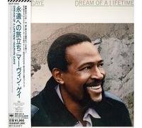 Marvin Gaye - Dream of Lifetime