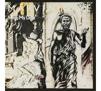 Marvin Gaye - Here, My Dear