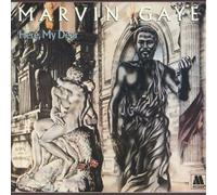 Marvin Gaye - Here, My Dear