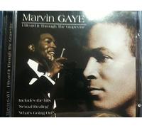 Marvin Gaye - I Heard It Through the Grapevi