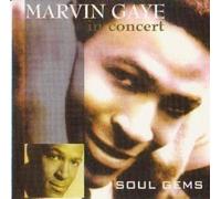 Marvin Gaye - In Concert
