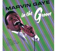 Marvin Gaye - In The Groove [VINYL]