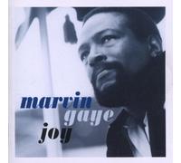 Marvin Gaye - Joy
