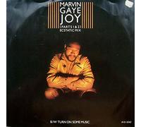 Marvin Gaye - Joy (Parts 1 & 2) (Ecstatic Mix) / Turn On Some Music