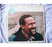 Marvin Gaye - Marvin Gaye - Dream Of A Lifetime - [LP]